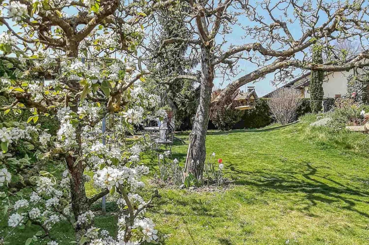 Ferienwohnungen am Hasenweg Ruhstorf an der Rott Exterior foto